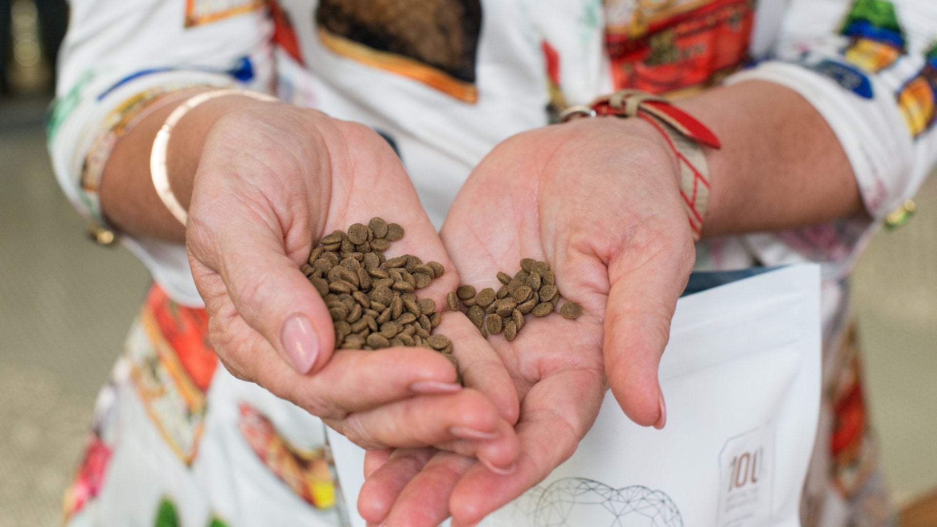 Choosing the Right Kibble Size for Your Dog