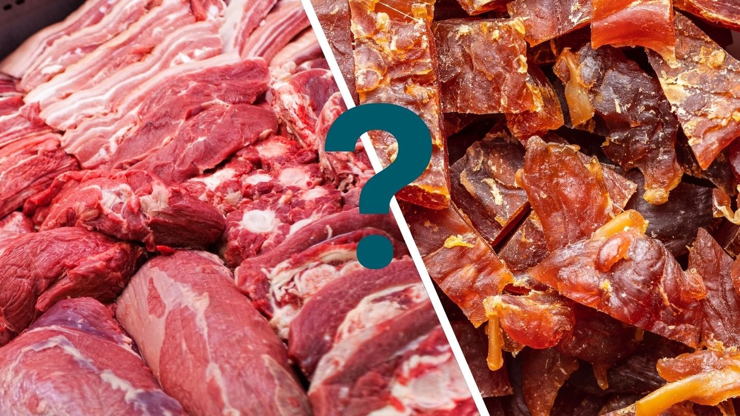 Fresh Meat vs. Meat Meal in Dry Dog Food: Which is Better?