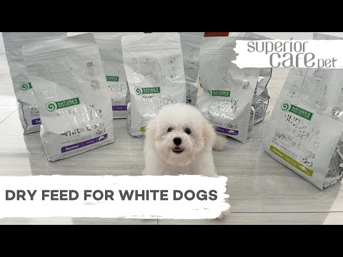 Grain Free White Fish Krill Dry Dog Food for Adult